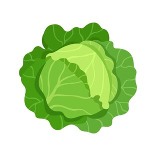 Выращивание капусты
