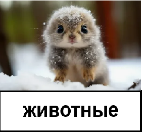 Животные
