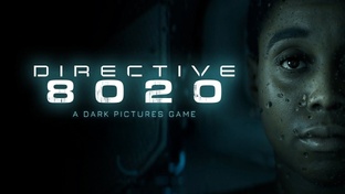 Directive 8020