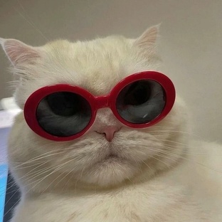 Непохожие близняшки 