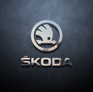 Ремонт Шкода