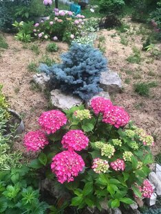 Знакомство.