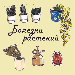 Болезни комнатных растений.