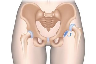 Тазобедренные суставы: оздоровление, укрепление, упражнения