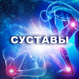 Суставы