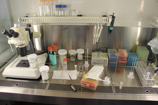 Учимся писать