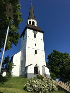 Швеция Разное