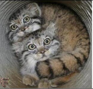 Огромная ипотека 1