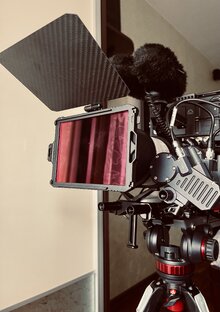 Видеосьемка лошадей