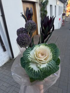 Виола