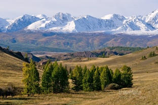 Статьи 