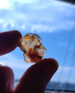 Красота под ногами