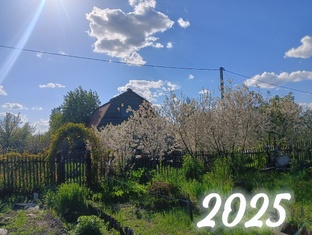 8 соток life 2025