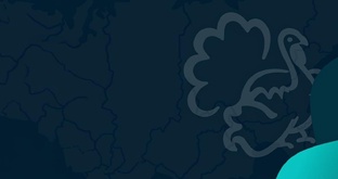 Маркетинг и продвижение