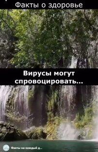 Факты о здоровье. Которых вы не знали... #факты #здоровье