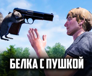 Squirrel with a Gun ♦ БЕЛКА С ПУШКОЙ