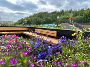 Благоустройство городских пространств от LedSplice