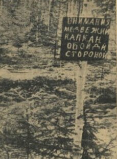 Рассказы старой охотницы