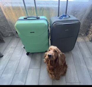 Отпуск ❤️🧳