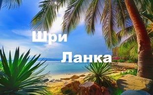 Путешествие по Шри Ланке февраль 2024г