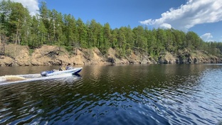 Сибирская Тайга