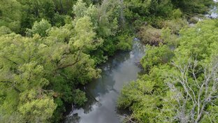 на майского жука!