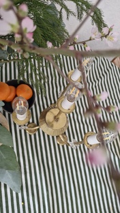 Свет после декрета есть 