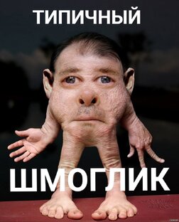 Моглики, хиви NASA, секта Святого Аполлония