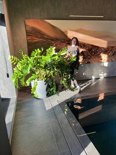 все о Замиакулькасах