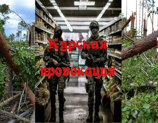 Курская провокация