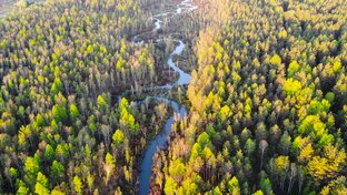 Весенняя рыбалка на лесной речке