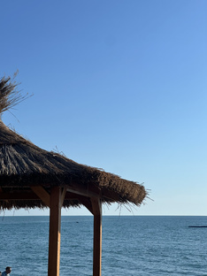 Как провести день в Сочи