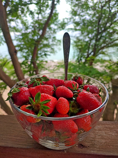 🦠ГИГИЕНА III ТЫСЯЧЕЛЕТИЯ