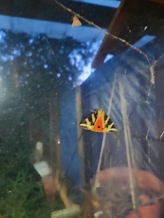 Размышления о свободе выбора и жизненных путях