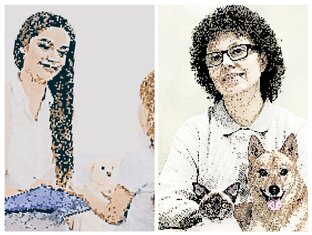 PetClash: Зоопсиха vs Детпсиха - Бой за Любимца!