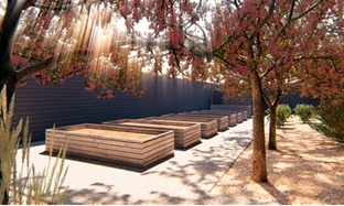 Сад, сад, сад, огород!