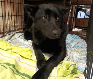 Дакота со станции Утёс 