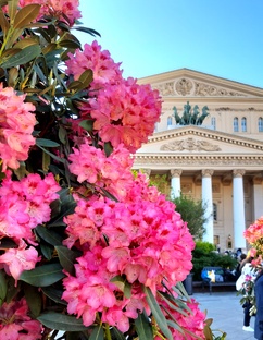 Лето 2025 в Москве. 