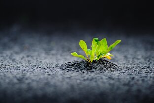 Моя мотосказка