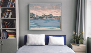 Анатомические подушки Доктора Шишонина