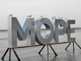 2025г.