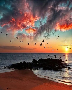 Всякое разное