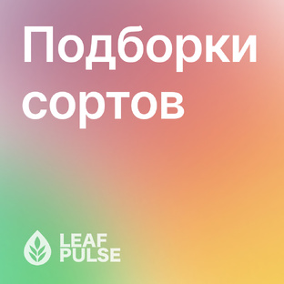 Подборки сортов