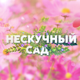 Нескучный сад