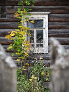 Ах, деревня, деревенька...