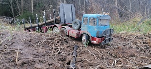 MAN FORMEL SIX. Лесовоз