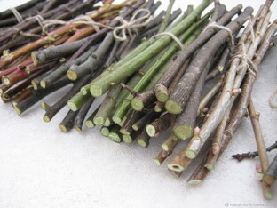 Фруктовые палочки/веточки