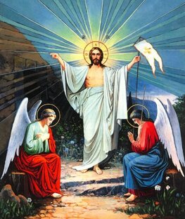 Прионтина. Илана Шалэхет. 8 Видео.