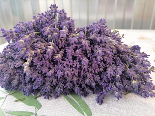 Лето - лучшая пора