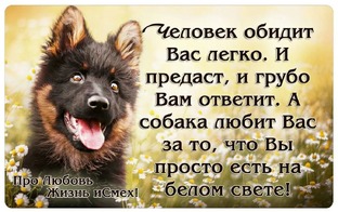 Немного краткого о моём канале